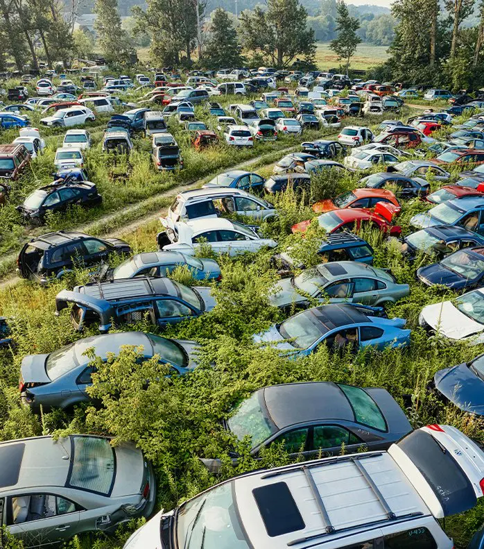 A large junkyard filled with old, abandoned cars overgrown by grass.